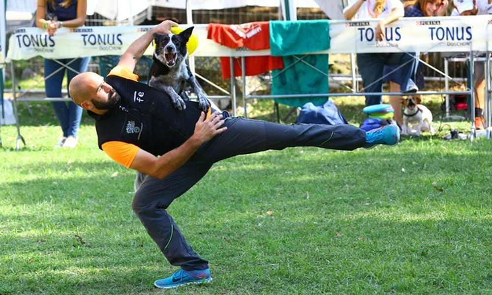 Tonus® Disc Dog Tour 2016: sfide a suon di frisbee per gli amici a quattro zampe