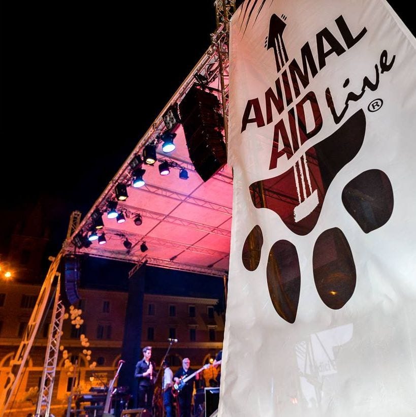 “Animal Aid Live 2016”: il più grande concerto per i diritti degli animali [VIDEO]