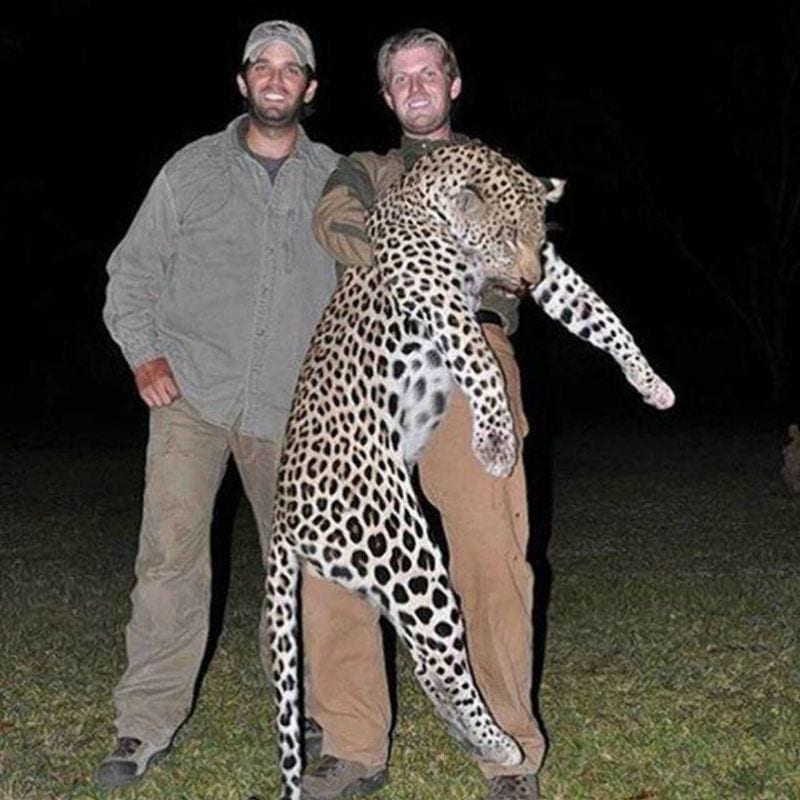 Madonna contro i figli di Donald Trump per aver ucciso un leopardo