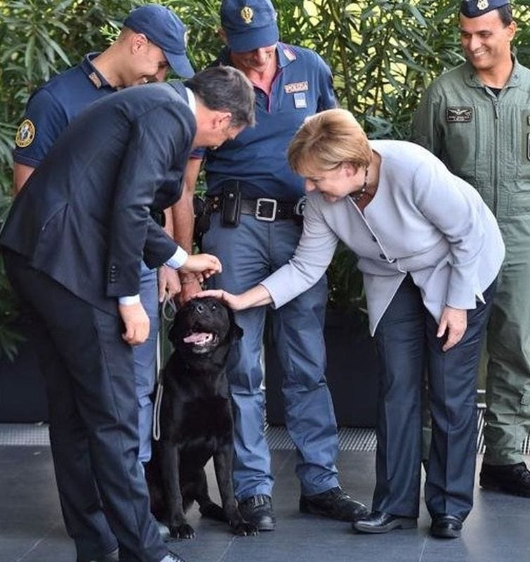 Terremoto: il cane-eroe che ha salvato la piccola Giorgia dà la zampa a Renzi e Merkel