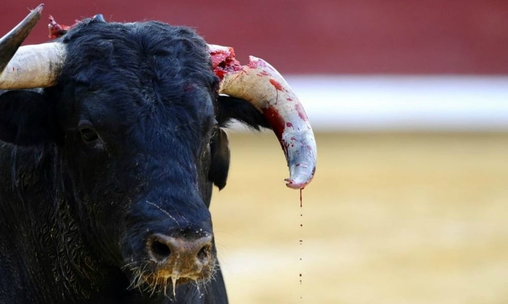 Corrida: Madrid scende in piazza per protestare