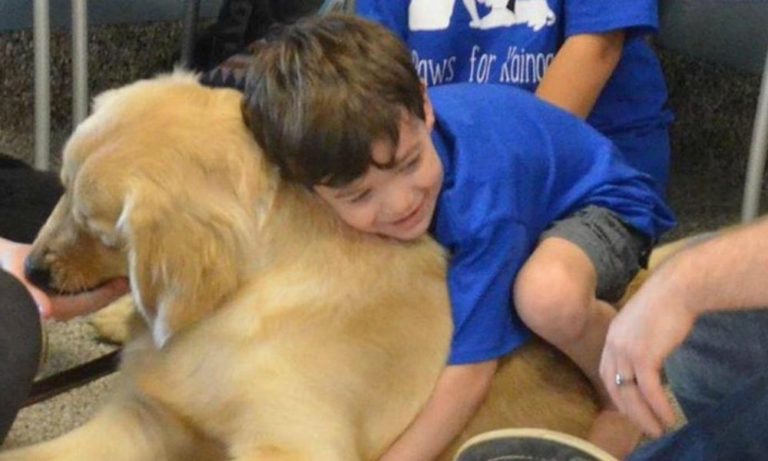 Tornado: il cane che ha cambiato la vita ad un bambino autistico