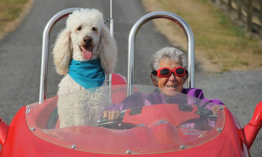 Malata di cancro a 90 anni viaggia col cane: Norma è una star del web [FOTO]