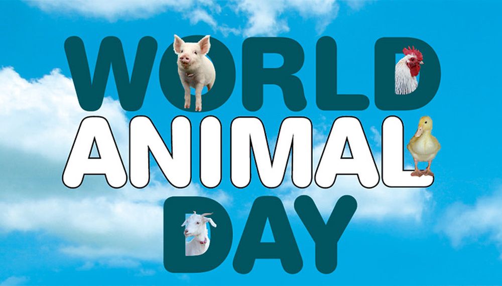 Giornata Mondiale degli Animali: il 4 ottobre è la loro festa in tutto il mondo