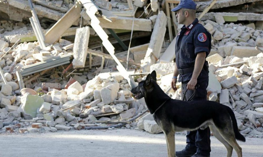 Terremoto: la terra torna a tremare tra Marche e Umbria, centinaia di animali tra le vittime