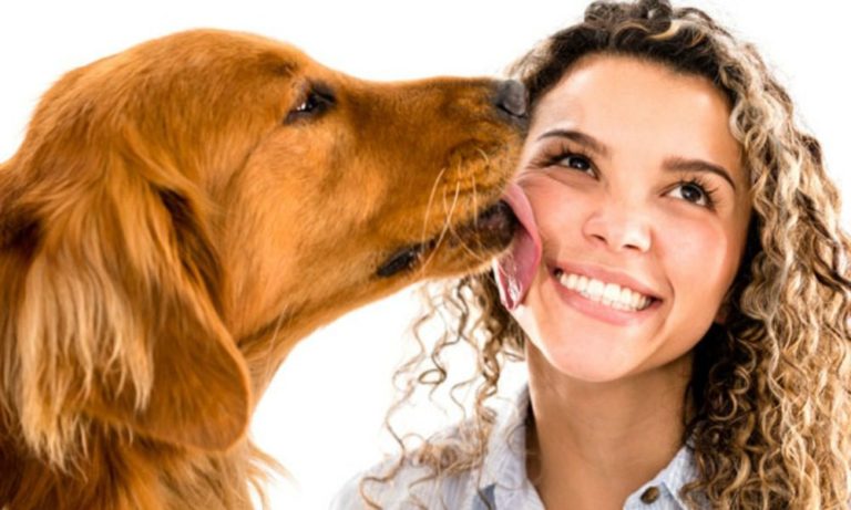 Meglio baciare un cane o una persona? La nuova ricerca fa impazzire i proprietari