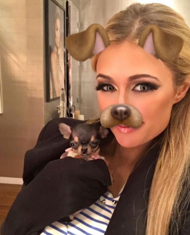 Paris Hilton adotta un nuovo chihuahua del valore di 8000 dollari: quando l’amore per i cani non ha prezzo...