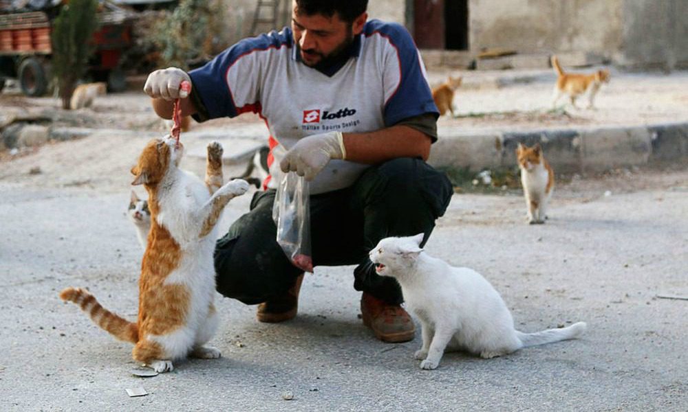 “L’uomo-gatto” di Aleppo: per amore degli animali ha resistito alle bombe