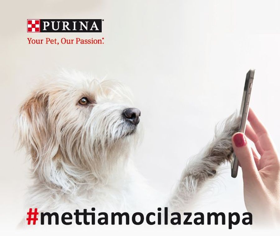 #Mettiamocilazampa: la petizione firmata dagli amici a 4 zampe per una società più pet-friendly