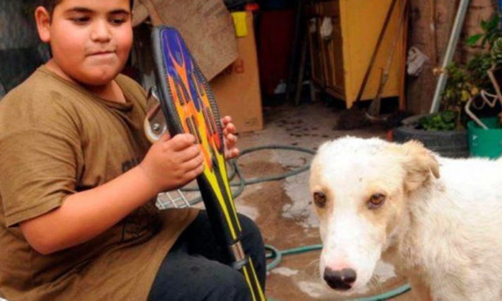 Il cane sta male: bimbo vende lo skateboard per curarlo