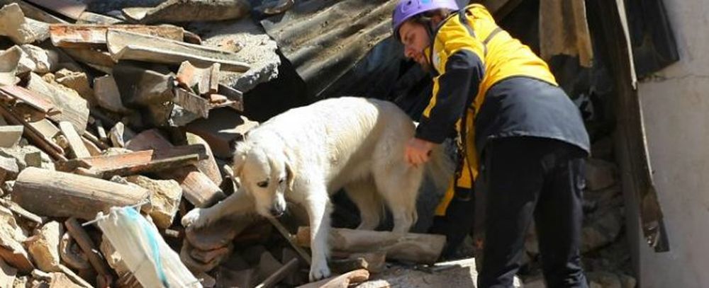 Terremoto: il cucciolo salvato a Norcia avrà una grande missione…