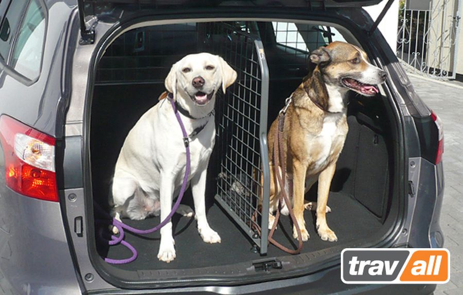 Travall - enjoy the journey: soluzioni sicure per i viaggi in auto con i 4 zampe