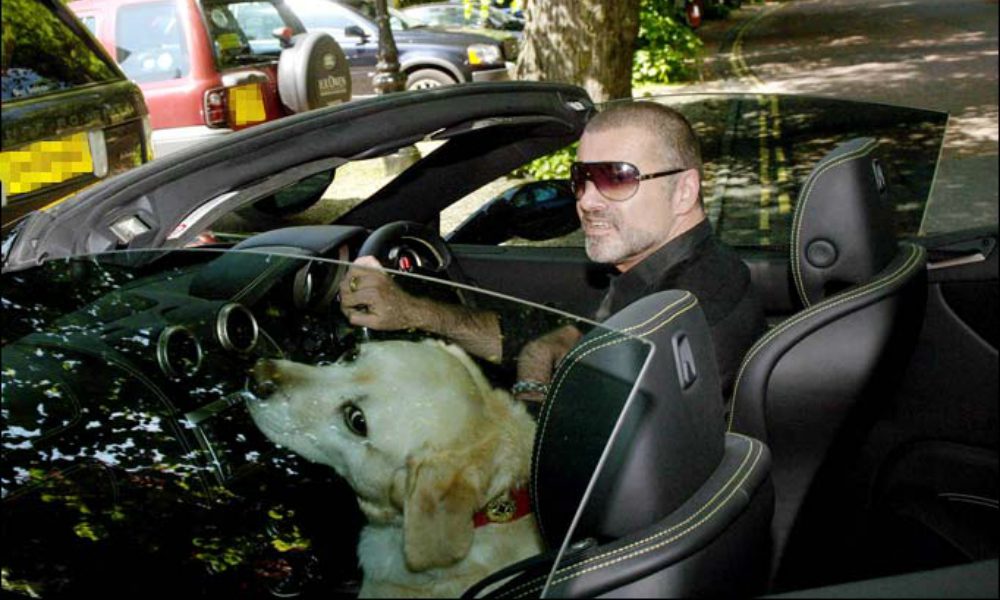 George Michael: una grande voce, un grande cuore... che batteva anche per gli animali [VIDEO]