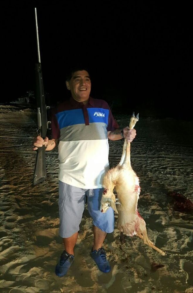 Scandalo Maradona: ha ucciso un’antilope in via d’estinzione