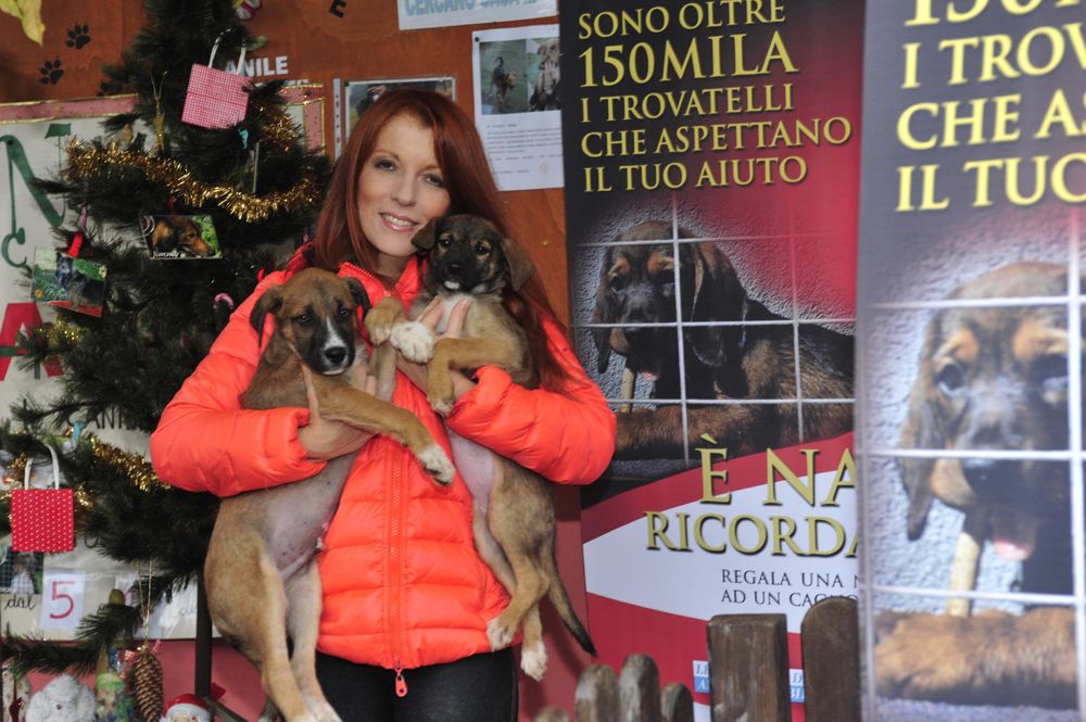 “È Natale, ricordati di me”: la campagna della LIDAA a sostegno dei canili