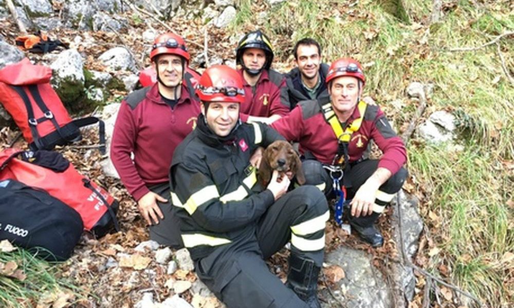 Miracoloso salvataggio di un cane precipitato in burrone di 80 metri