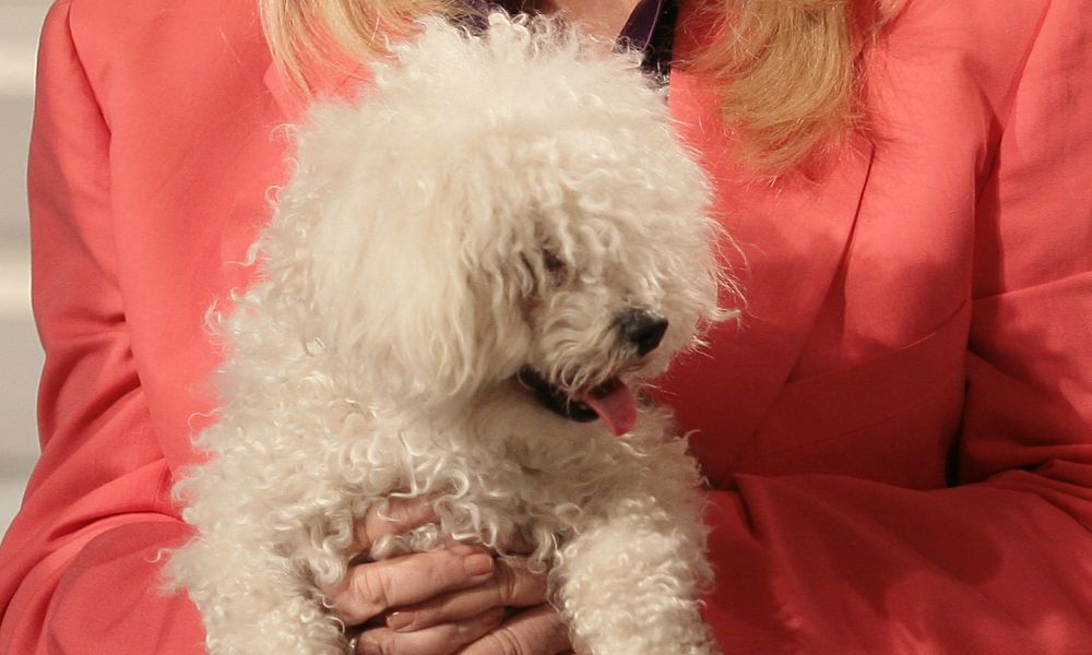 Isabella Biagini, scomparso il cane: l'appello di Barbara D'Urso