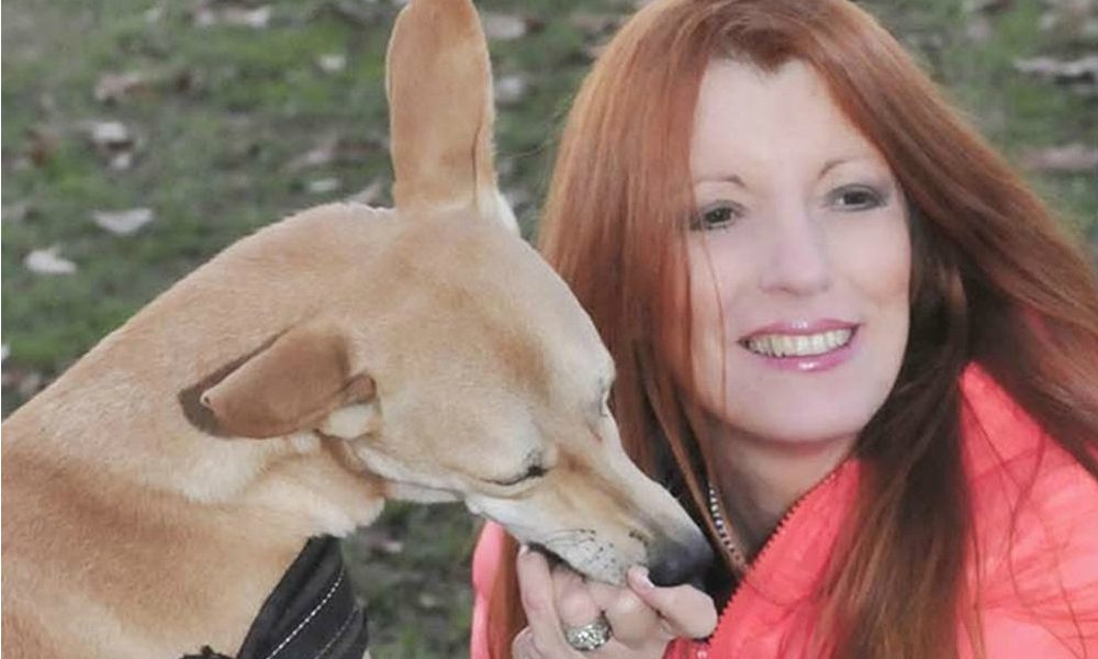 Assolti dopo aver barbaramente ucciso un cane a bastonate, l’Onorevole Brambilla: “Sentenza sconcertante, necessarie leggi più severe”