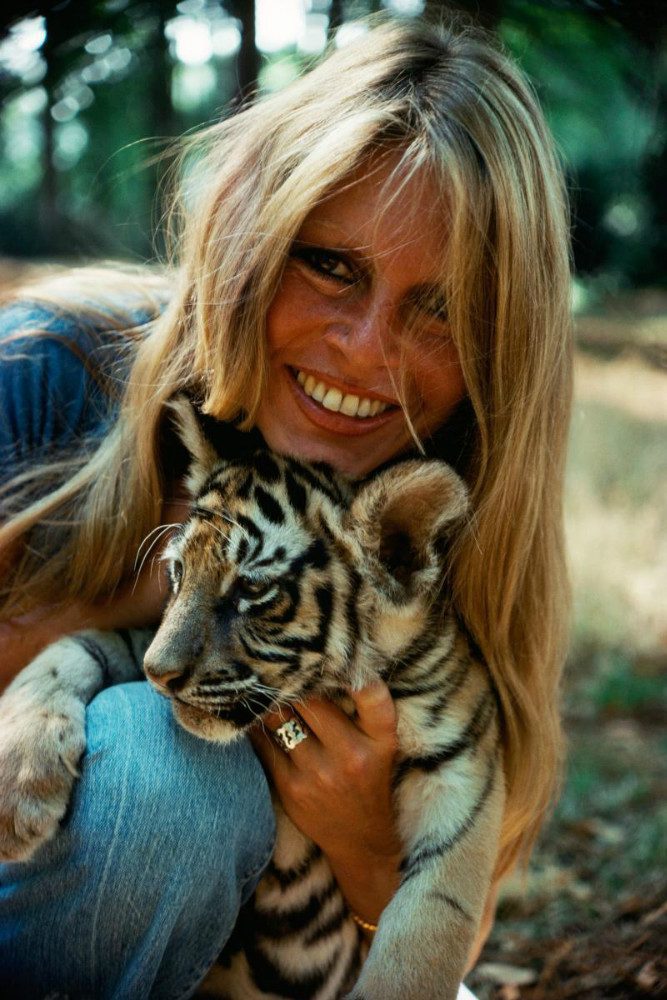 Brigitte Bardot attacca Gerard Depardieu e Catherine Deneuve per difendere gli animali