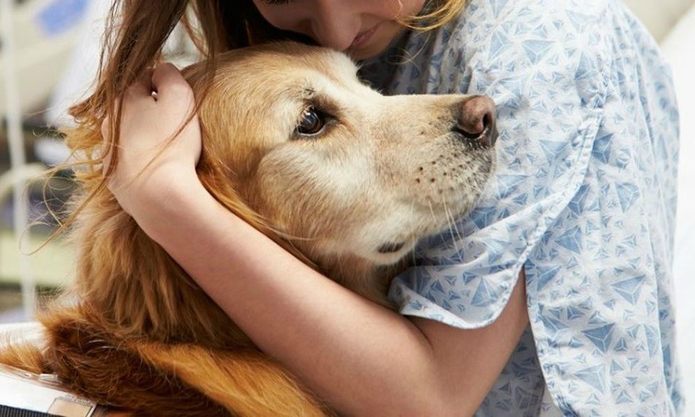 Portare il proprio animale domestico in ospedale da oggi sarà possibile