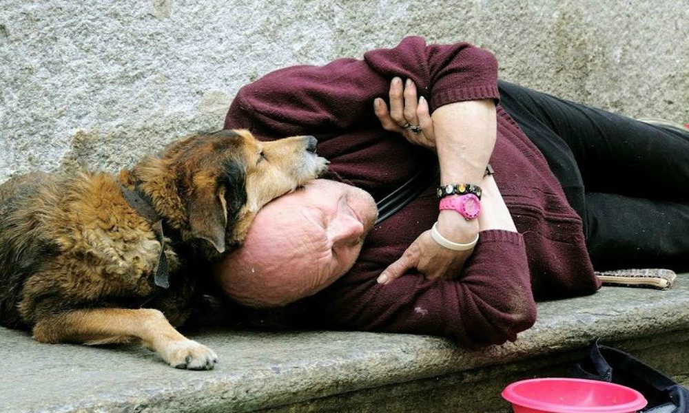 Il Comune di Milano accoglie i cani dei clochard nei dormitori