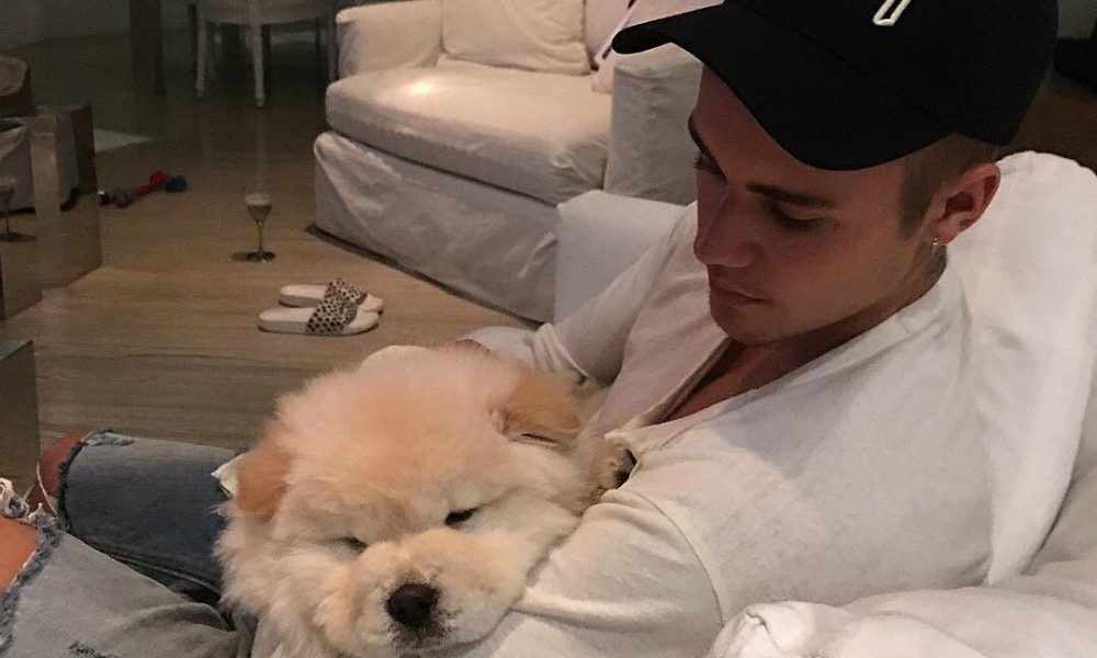 Tutti contro Justin Bieber: abbandona il suo cane malato