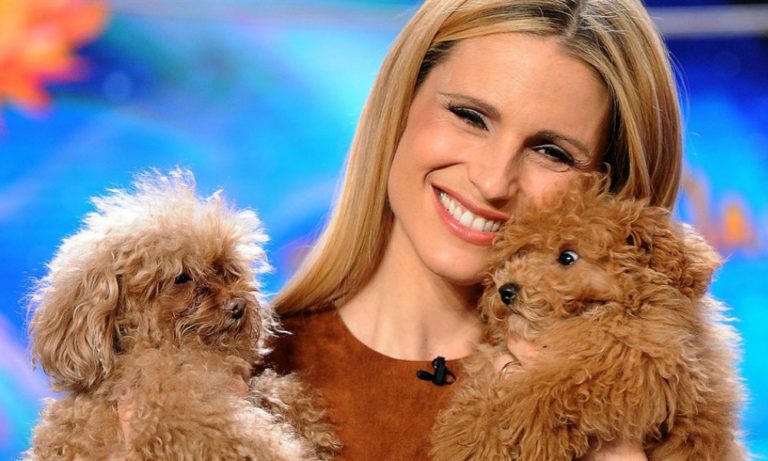 I cani di Michelle Hunziker incantano il pubblico di “Striscia la Notizia”