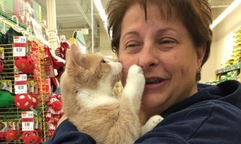 Il gatto bacia la sua nuova mamma. E lei gli salva la vita due volte