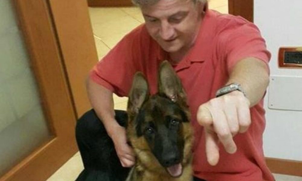 Sparano al cane mentre passeggia: Rex muore sotto gli occhi del proprietario