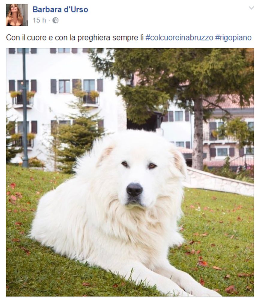 Barbara D’Urso si commuove per i cani dell’Hotel Rigopiano