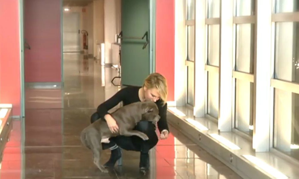 Maria De Filippi e gli irrinunciabili saluti di Saki: il cane di “C’è Posta per te” [VIDEO]