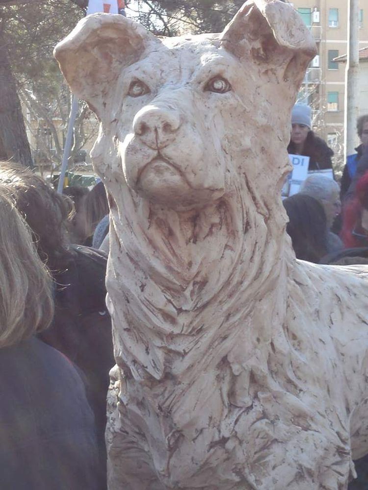 Cane Angelo: una statua in suo onore, per non dimenticare…