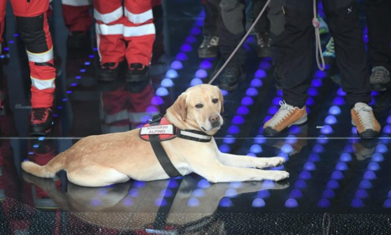 Sanremo 2017: il cane-eroe di Amatrice è la star del Festival [VIDEO]