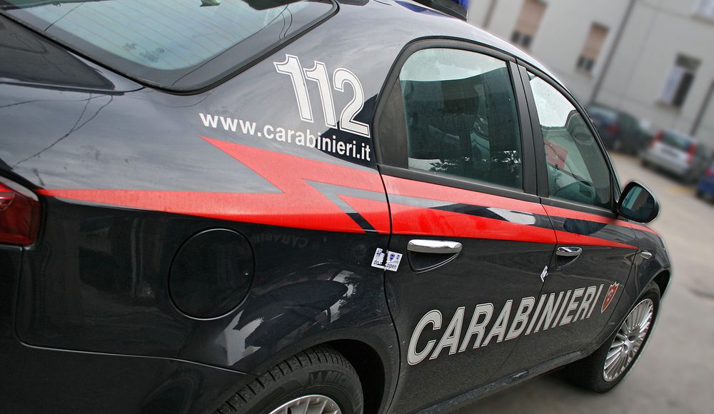 Pensionato abbandona un cucciolo buttandolo fuori dall’auto: intervengono i Carabinieri