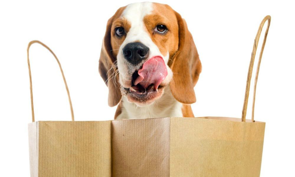 Doggy Bag: da oggi richiederla è legittimo, lo stabilisce la Corte di Cassazione