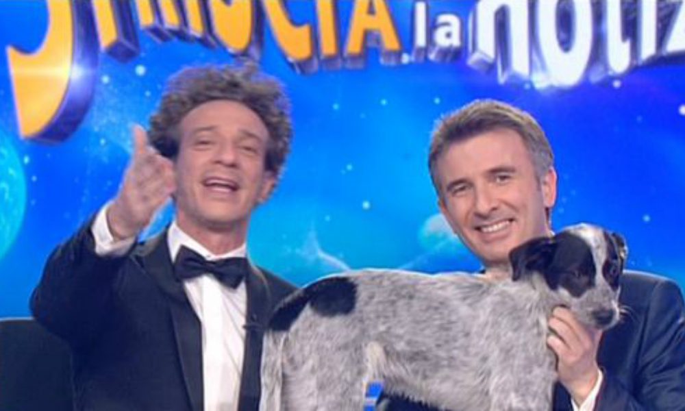 Il cane Donald è la nuova star di "Striscia la Notizia" [VIDEO]