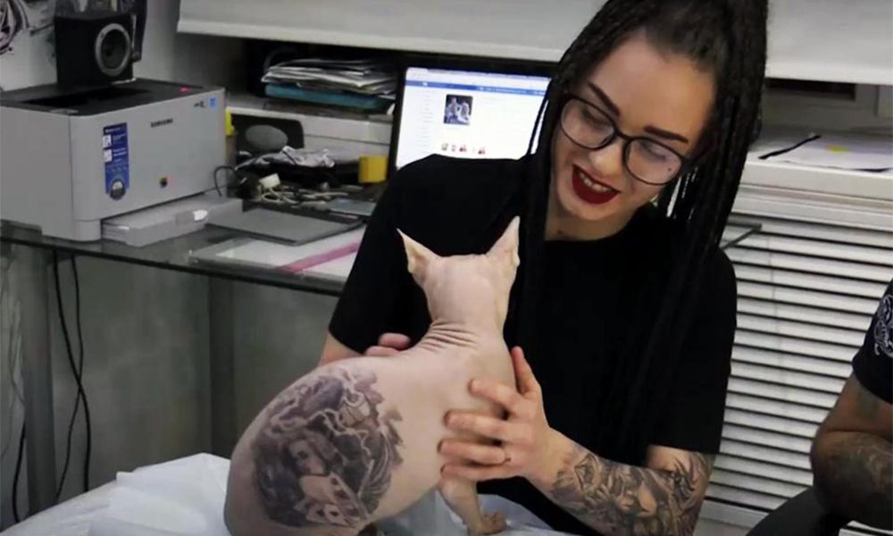Tatua il suo gatto ed è subito polemica [VIDEO]