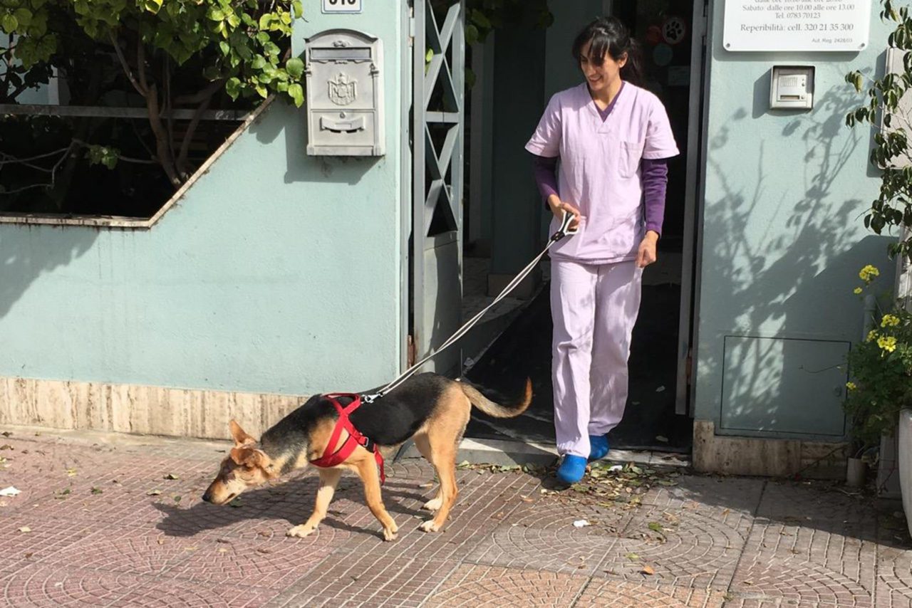 Lupa Chiotta: nuovo miracolo alla Duemari [VIDEO]