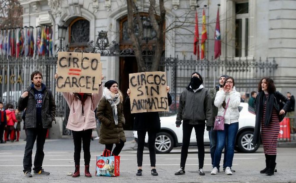 Madrid dice no al circo con gli animali