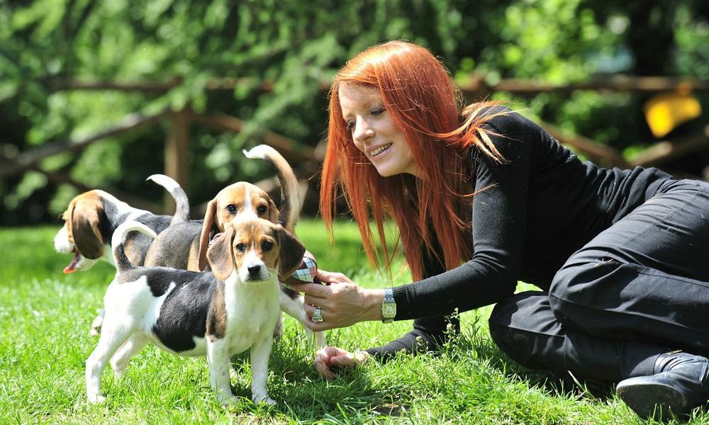 Onorevole Brambilla: “Farò tutto il possibile perché le sofferenze di tantissimi animali non siano inutilmente prolungate”