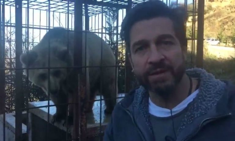 “Striscia la Notizia”: Edoardo Stoppa in soccorso degli orsi prigionieri in Albania