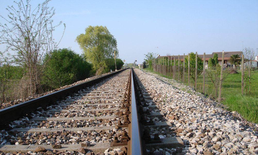 Orrore a Bologna: cani legati vivi ai binari del treno