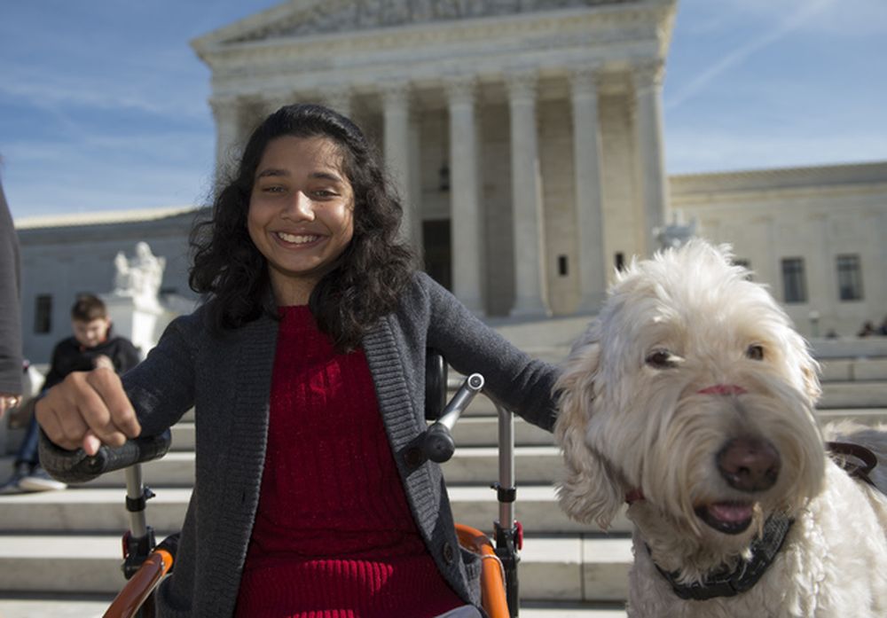 A scuola con il cane: la sentenza della Corte Suprema a favore di una bambina disabile