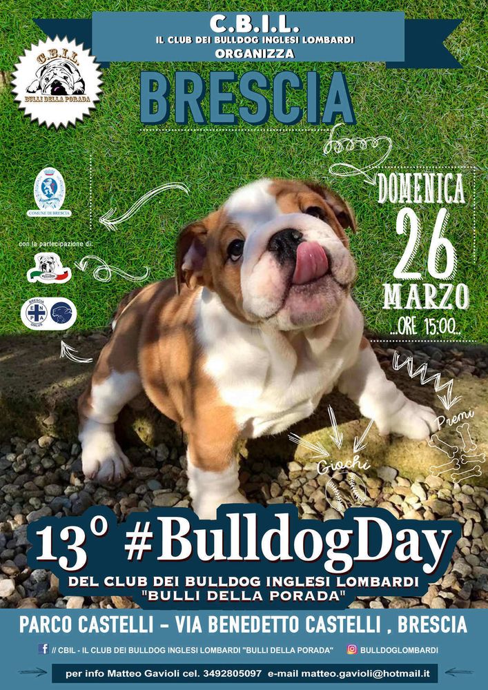 Arriva a Brescia Il 13° #Bulldogday solidale, con oltre 150 esemplari