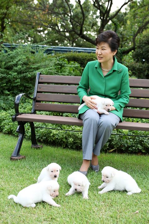 L’ex presidente sud-coreana abbandona i suoi nove cani: esplode la polemica