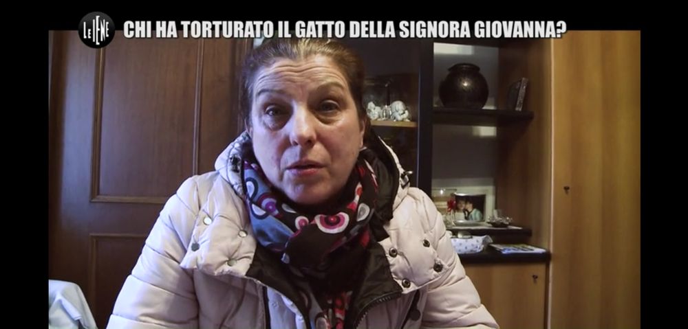 Gattino scuoiato vivo a Brescia: il servizio de “Le Iene”