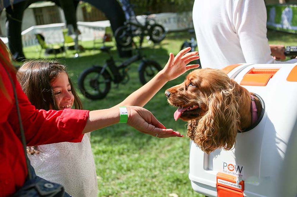 Quattrozampeinfiera: l’evento pet-friendly più atteso dell’anno per la prima volta a Roma