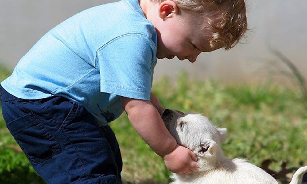 All'asilo con gli animali: per crescere insieme rispettando la natura