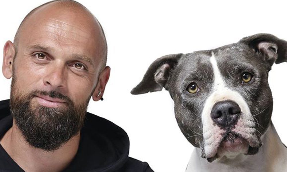 Simone Dalla Valle: 3 domande da farsi prima di prendere un cane [VIDEO]