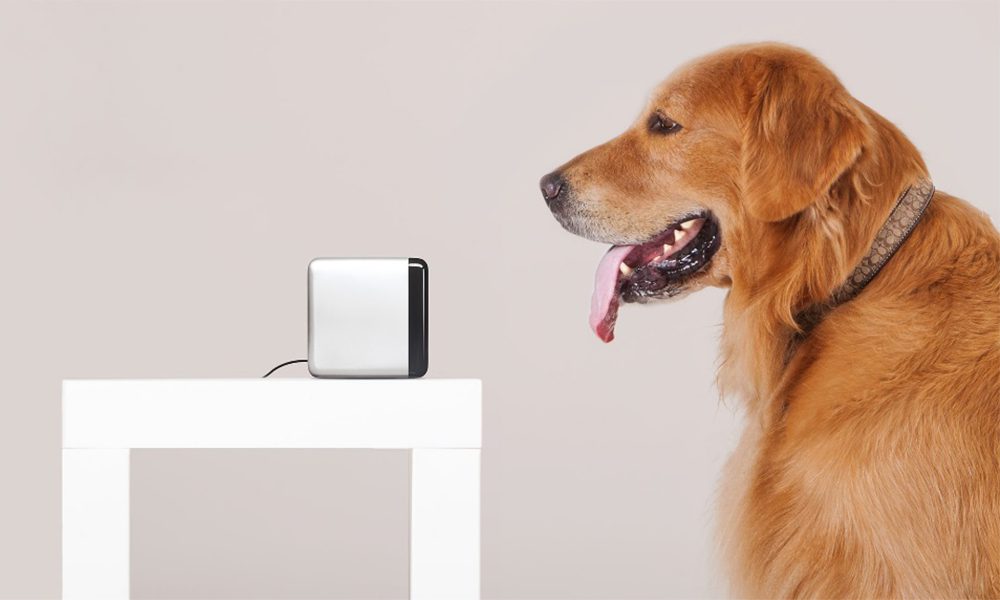 Petcube: la webcam speciale studiata per i quattro zampe